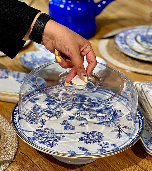 کیک خوری پایه دار و درب دار طرح spring برند gönül
