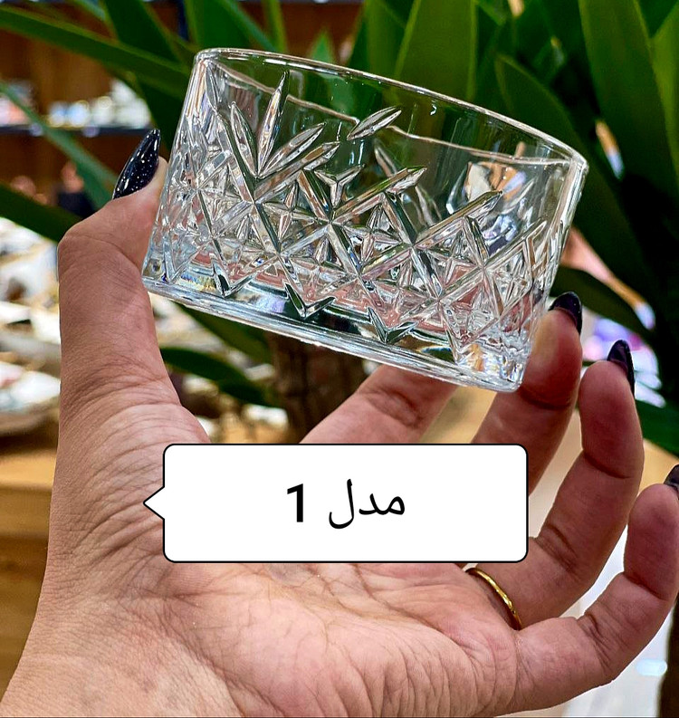 2 مدل کاسه timeless&elysia محصول Paşabahçe ترکیه